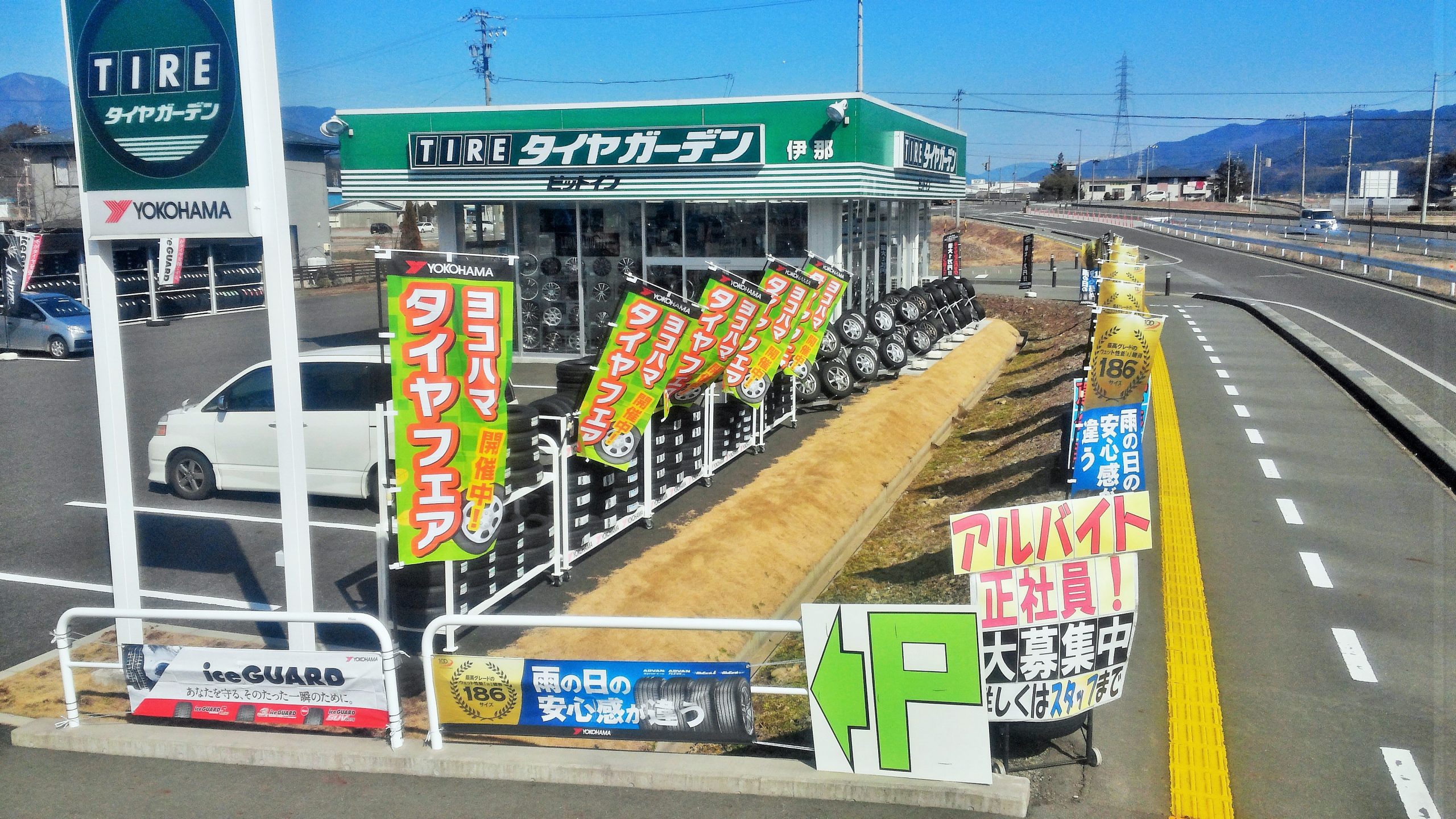 日差しがポカポカ♪ﾟﾟ♪ﾟ((●＞∀・)ノ