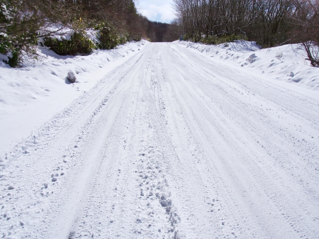 圧雪路面